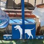 yazin-sicak-gunlerinde-kucukcekmece-belediyesinden-sokak-hayvanlarina-can-suyu-cagrisi.jpg