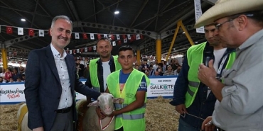 yerli-tavuk-irklari-ile-koclar-inegolde-podyuma-cikacak.jpg