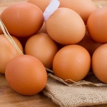 Yumurtaya getirilen 1,5 dolar fon aceleyle alınmış ihracatı durduracak bir karar