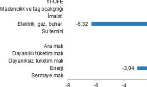 yurt-ici-uretici-fiyat-endeksi-ocak-2024-BDS5pT6Y.jpg