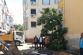 zabita-ve-temizlik-isleri-ekiplerinden-yaz-sezonu-denetimi.jpg